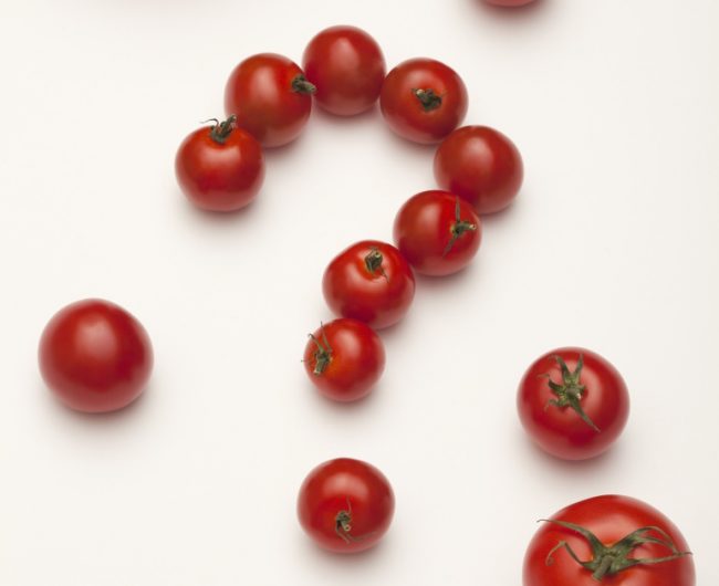 Ángela Quintas, química y nutricionista clínica especializada en salud digestiva