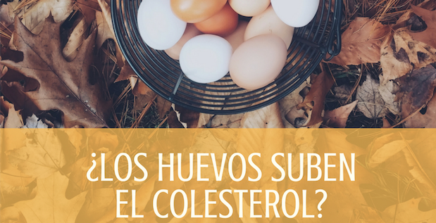 los huevos angela - Ángela Quintas, química y nutricionista clínica especializada en salud digestiva