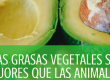 las grasas vegetales