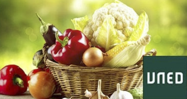 Ángela Quintas, química y nutricionista clínica especializada en salud digestiva