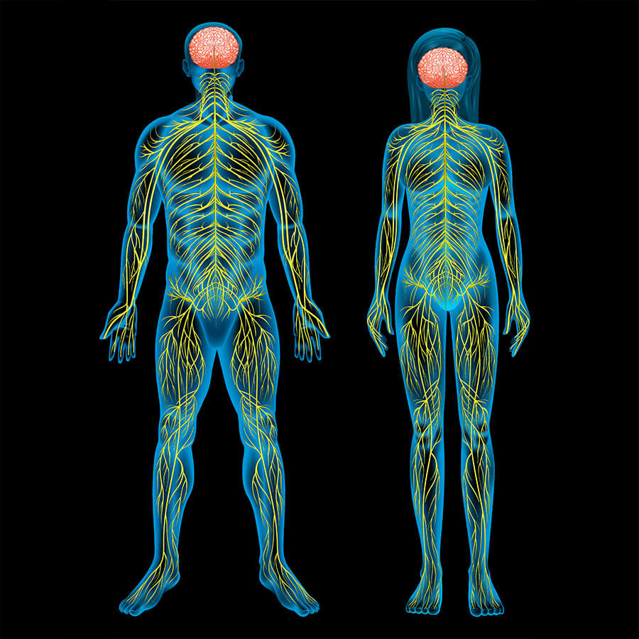 Ángela Quintas, química y nutricionista clínica especializada en salud digestiva